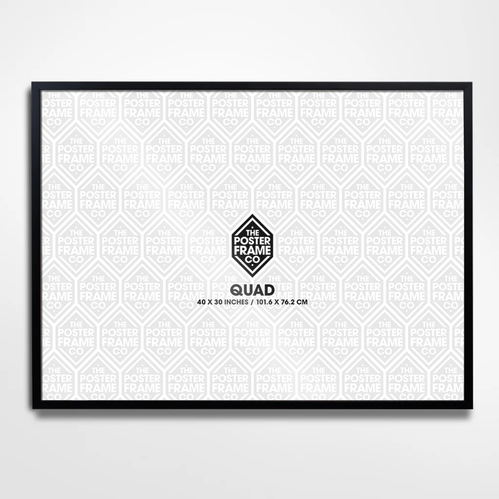 Quad (30x40 Inch) Premium Poster Frame - Black - Image 7