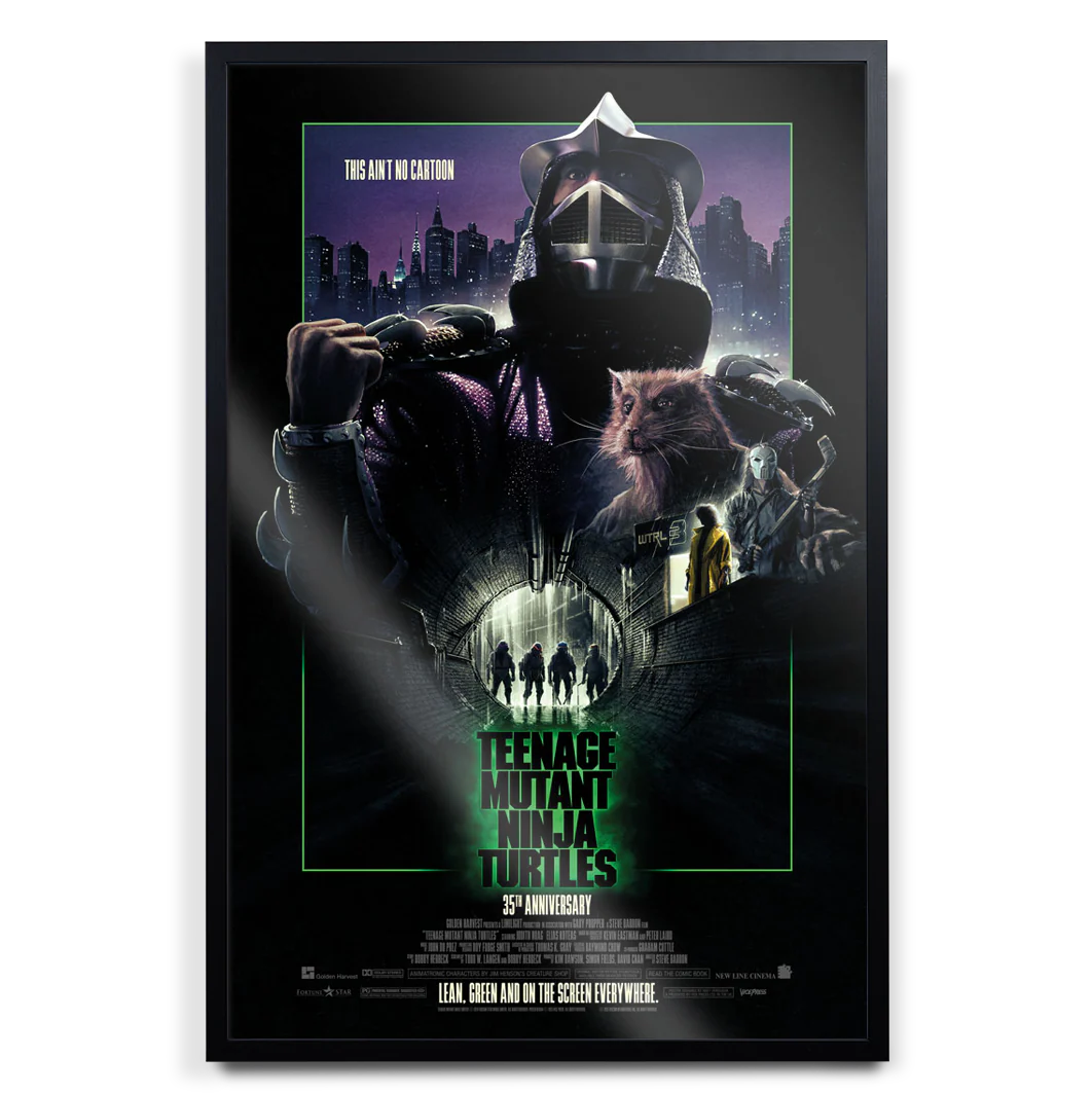 Teenage Mutant Ninja Turtles - Image 3