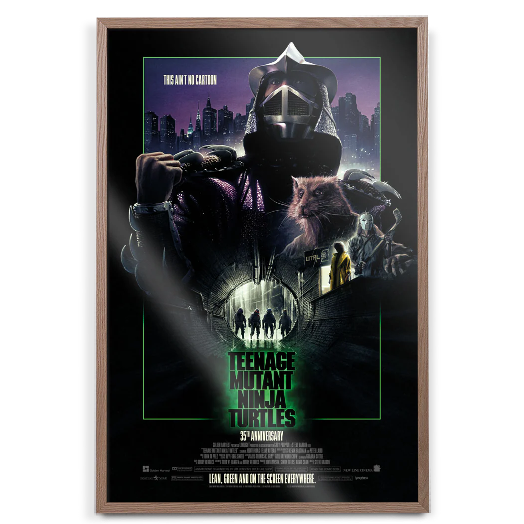 Teenage Mutant Ninja Turtles - Image 5