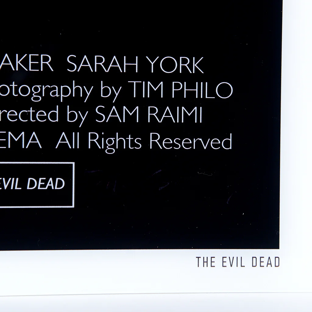 The Evil Dead - Multi-Layer Acrylic Panel - Image 11