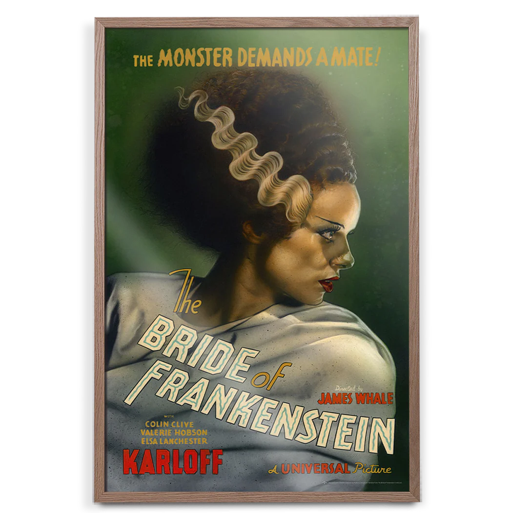 Universal Monsters: The Bride Of Frankenstein - Image 5